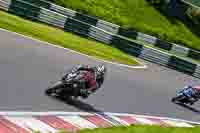 Middle Group Black Bikes